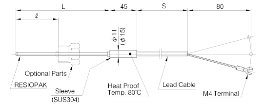 R35: Sheath Resistance Thermometer Sensor with Extension Lead Wire image