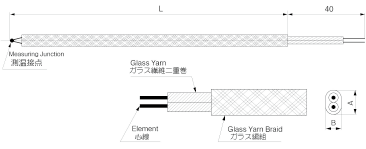EXE: Coated Thermocouples image